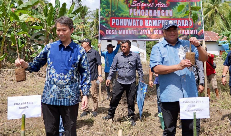 Chateraise Jepang Siap Beli Kakao Gorontalo